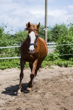 Bild 158 - Vivi